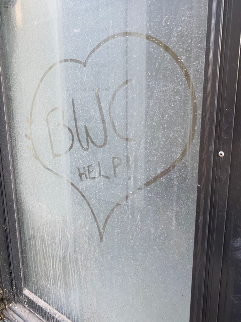 lakelands-dirty-windows-before-help-message