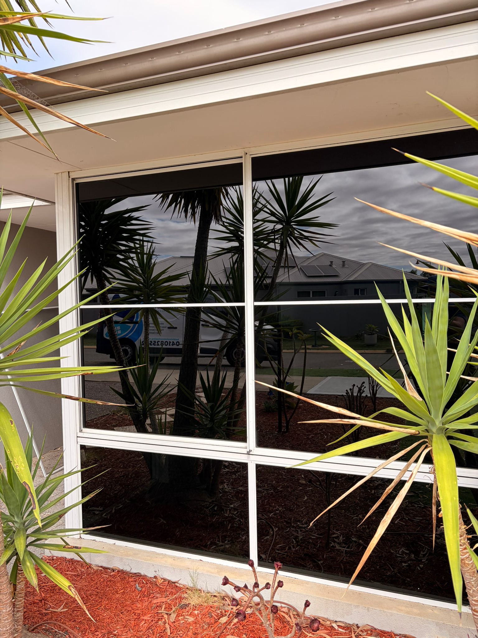 After window cleaning in Bertram - 6-pane white aluminium framed window crystal clear with sharp reflections of garden and street