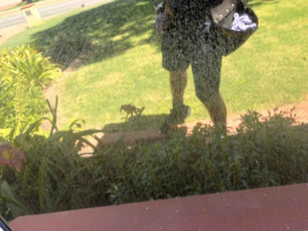 window cleaning in Casuarina (Before picture 2)