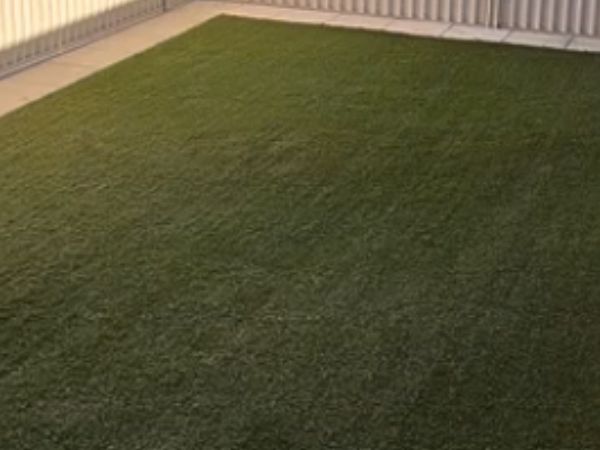 Artificial Grass Cleaning - After Treatment