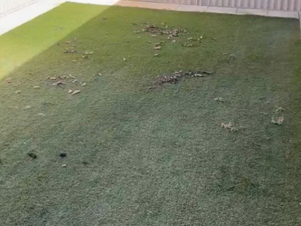 Artificial Grass Cleaning - Before Treatment