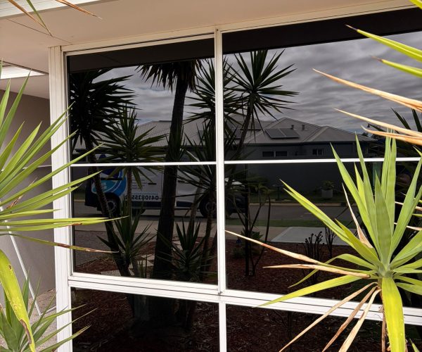 After window cleaning in Bertram - 6-pane white aluminium framed window crystal clear with sharp reflections of garden and street